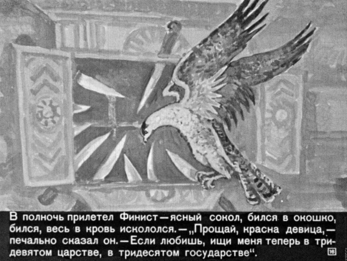 Photo Great coloring Finist clear falcon