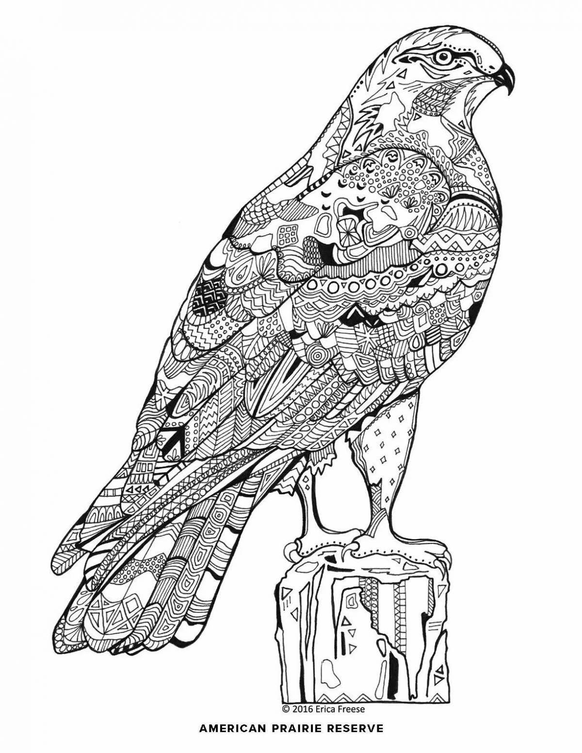 Photo Colorful coloring Finist clear falcon