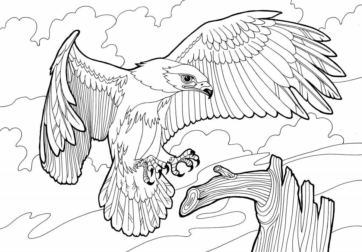 Photo Royal coloring Finist clear falcon