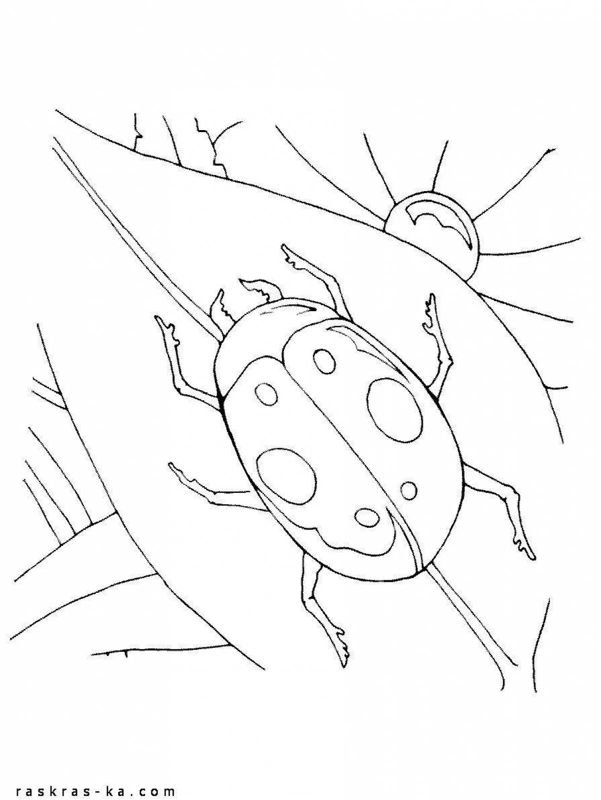 Live beetle on a dandelion