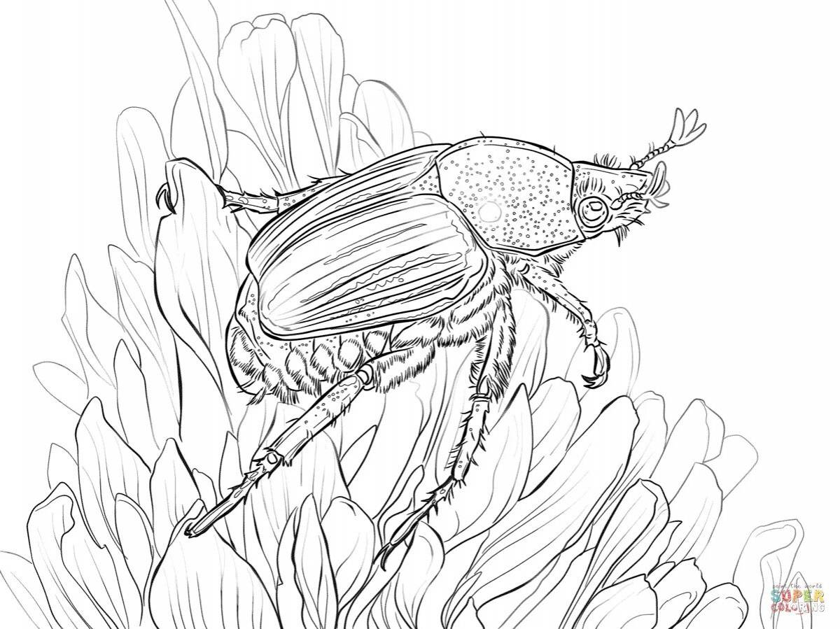 Dandelion beetle #15