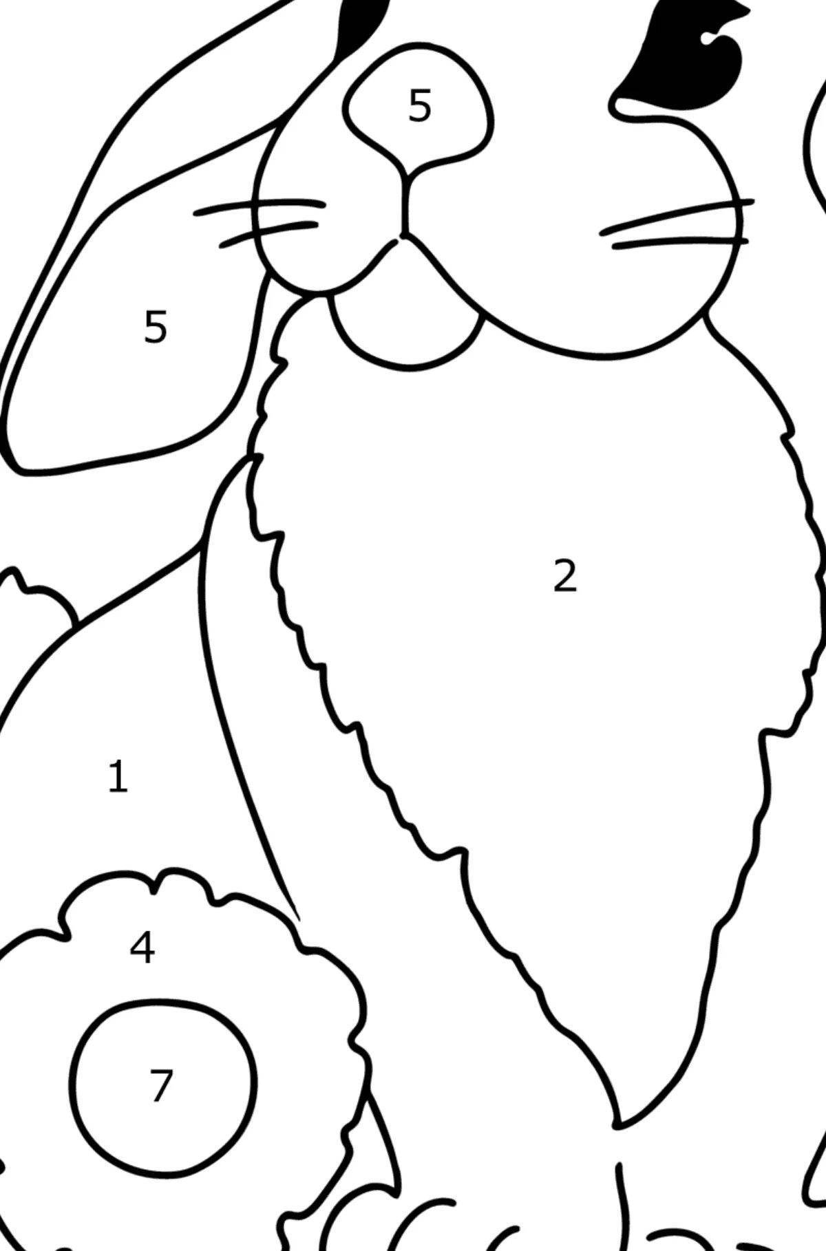 Colored rabbit by numbers coloring book