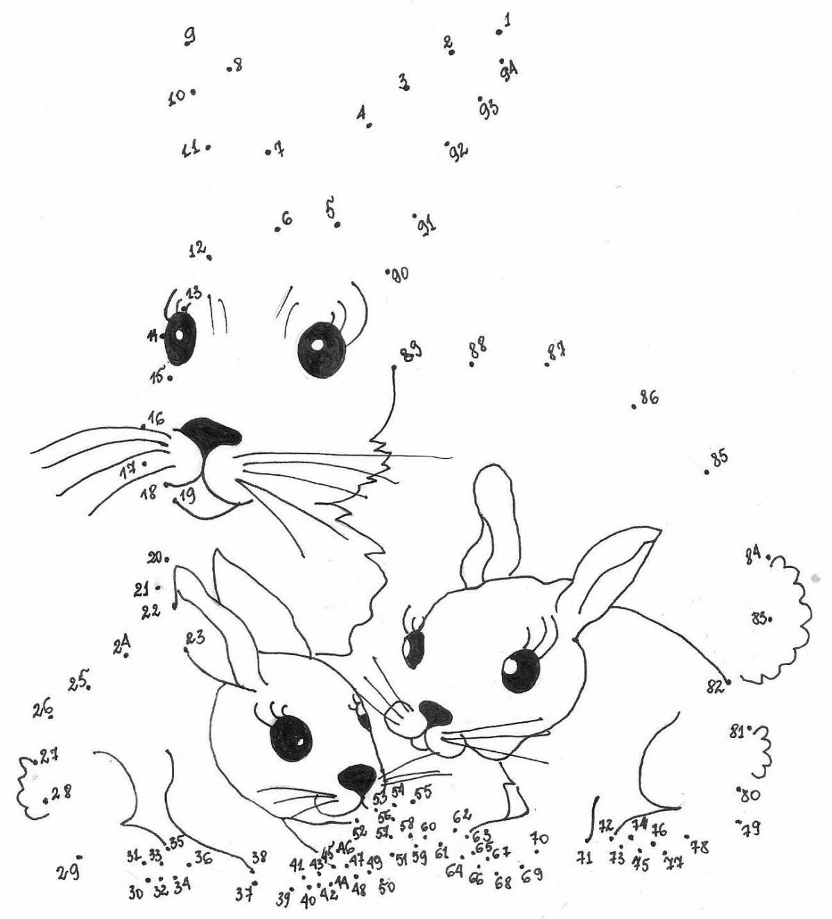 Color frenzy bunny by numbers coloring book