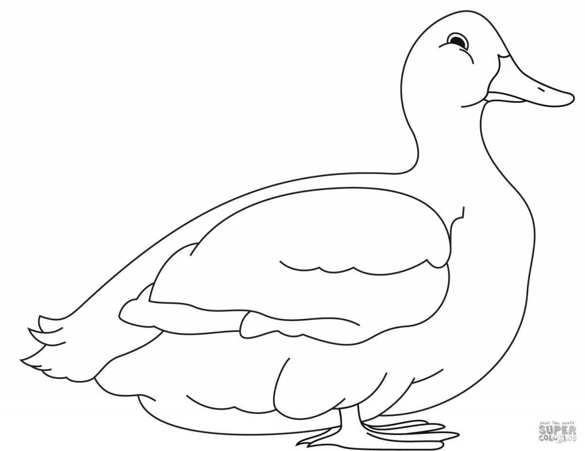 Coloring page gorgeous dressed duck
