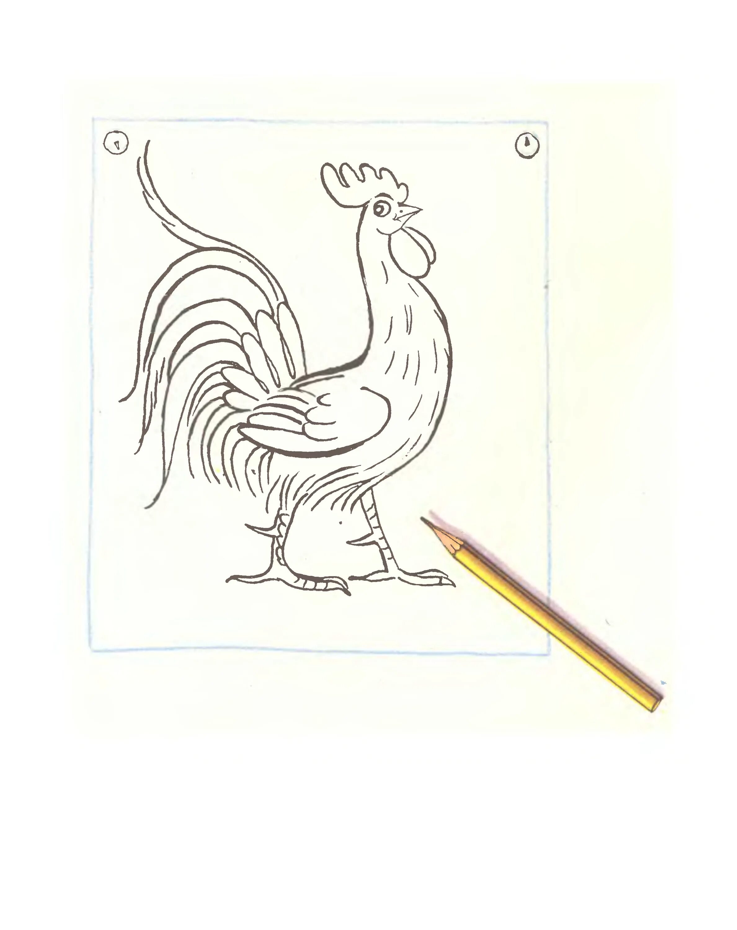 Coloring page of a cheerful rooster