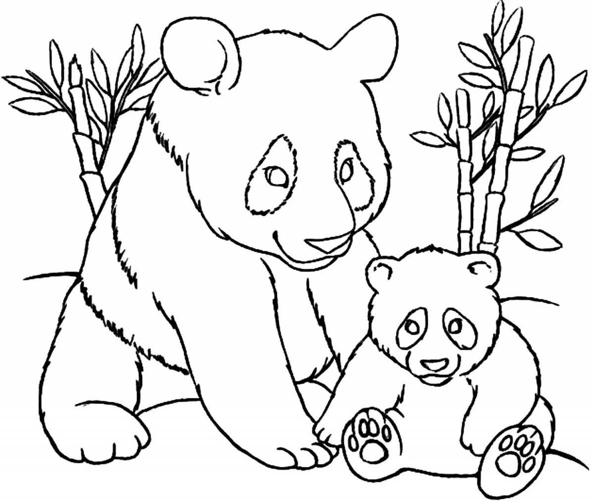 Раскраска пузырчатая панда с бамбуком