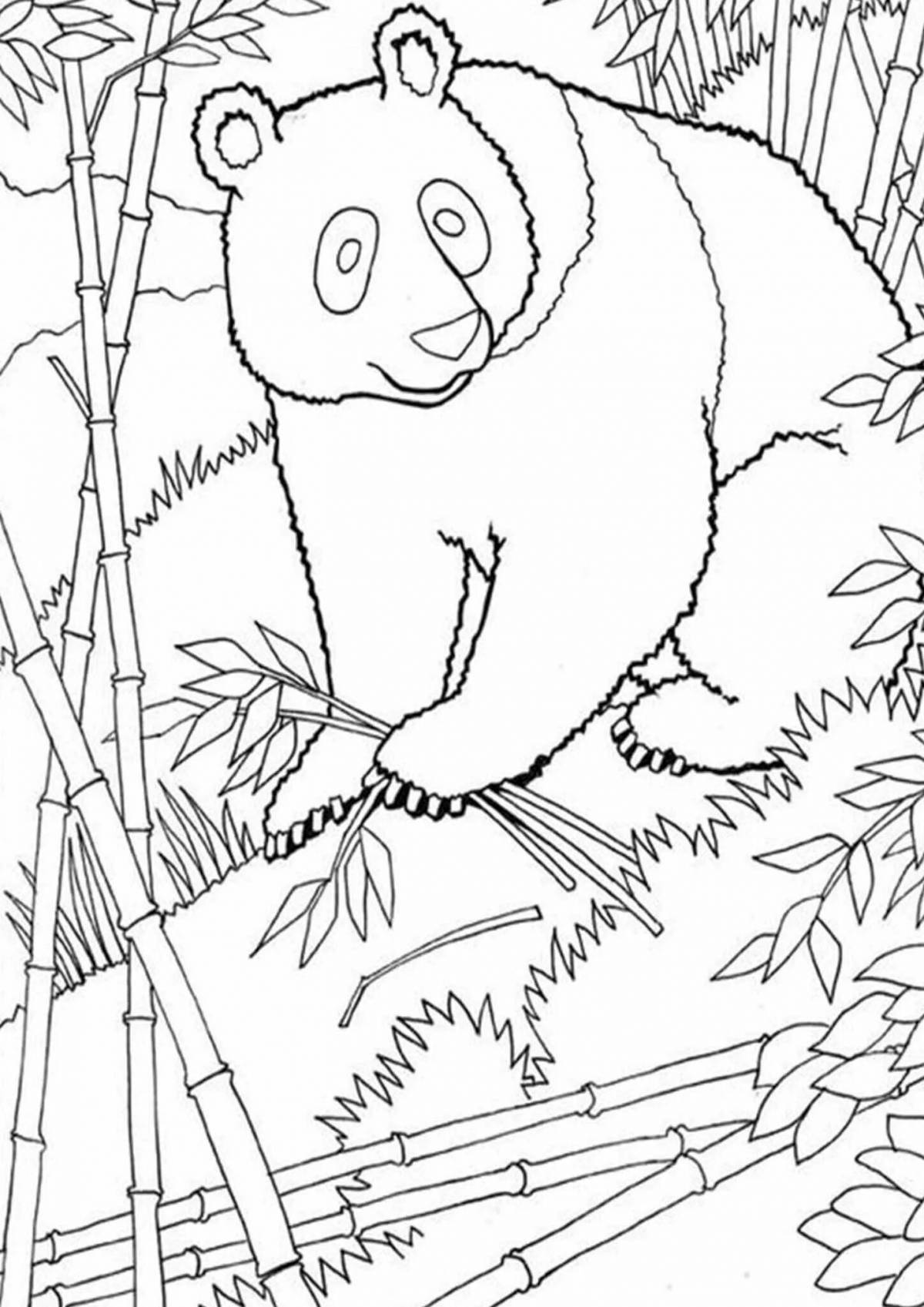 Exciting coloring panda with bamboo