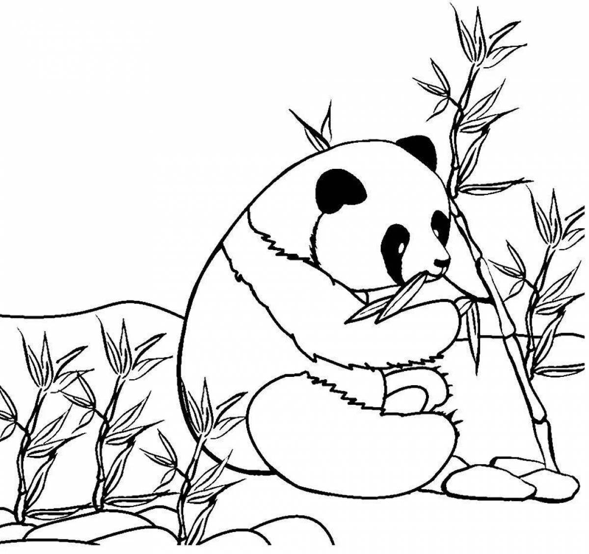 Чудесная панда-раскраска с бамбуком
