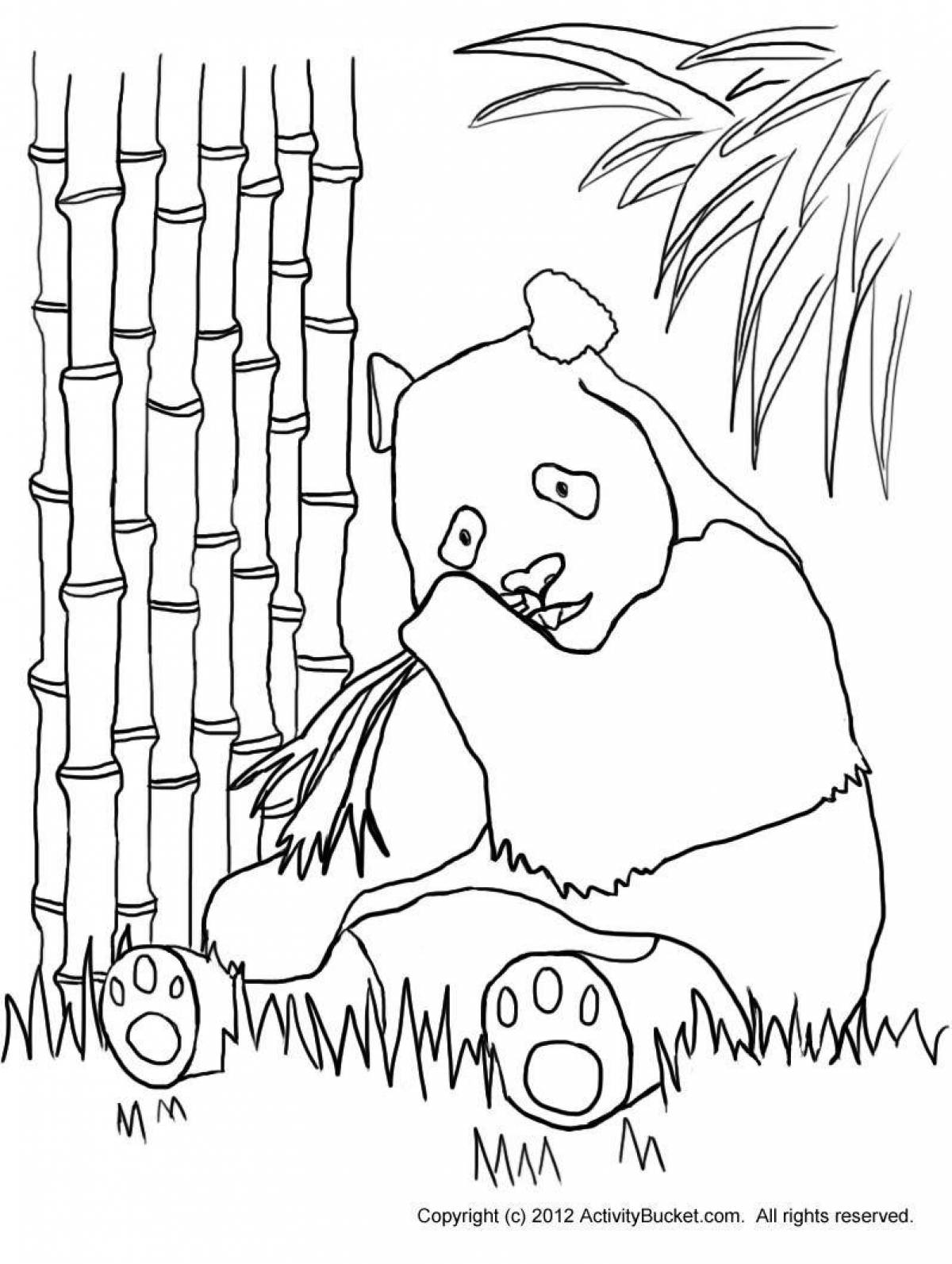 Incredible panda coloring book with bamboo