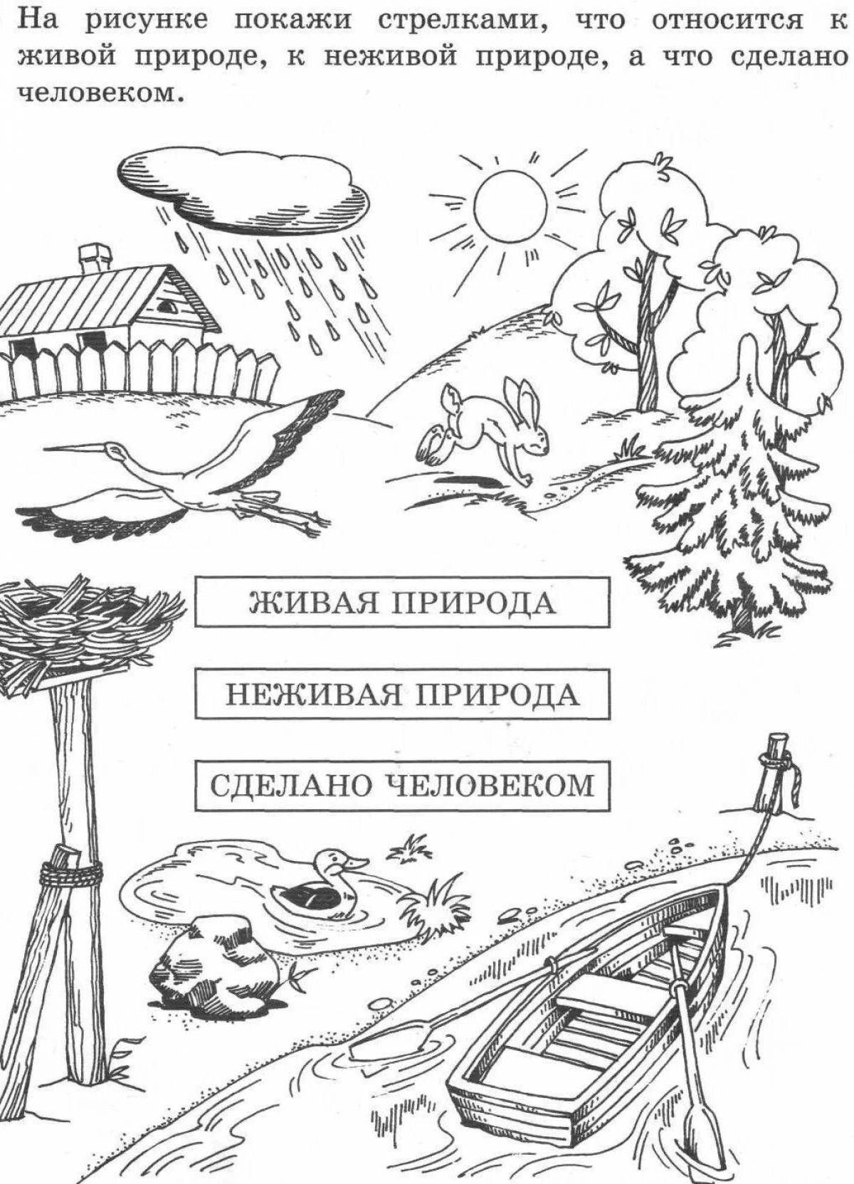 Задания в картинках по окружающему миру 3 класс