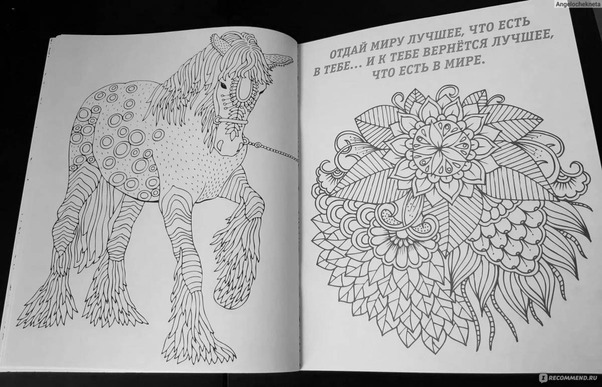 Photo Pop it antistress coloring book