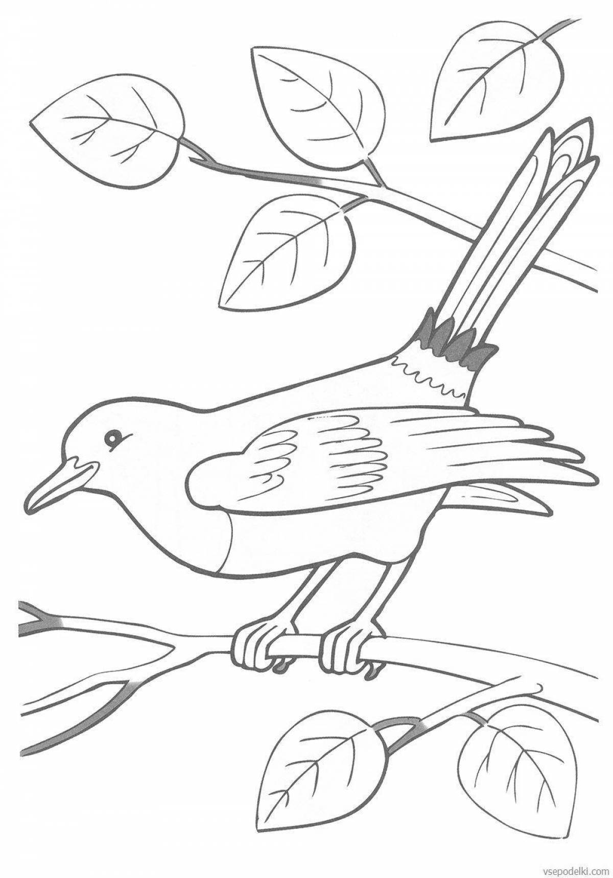 Preparatory group of animated wintering birds