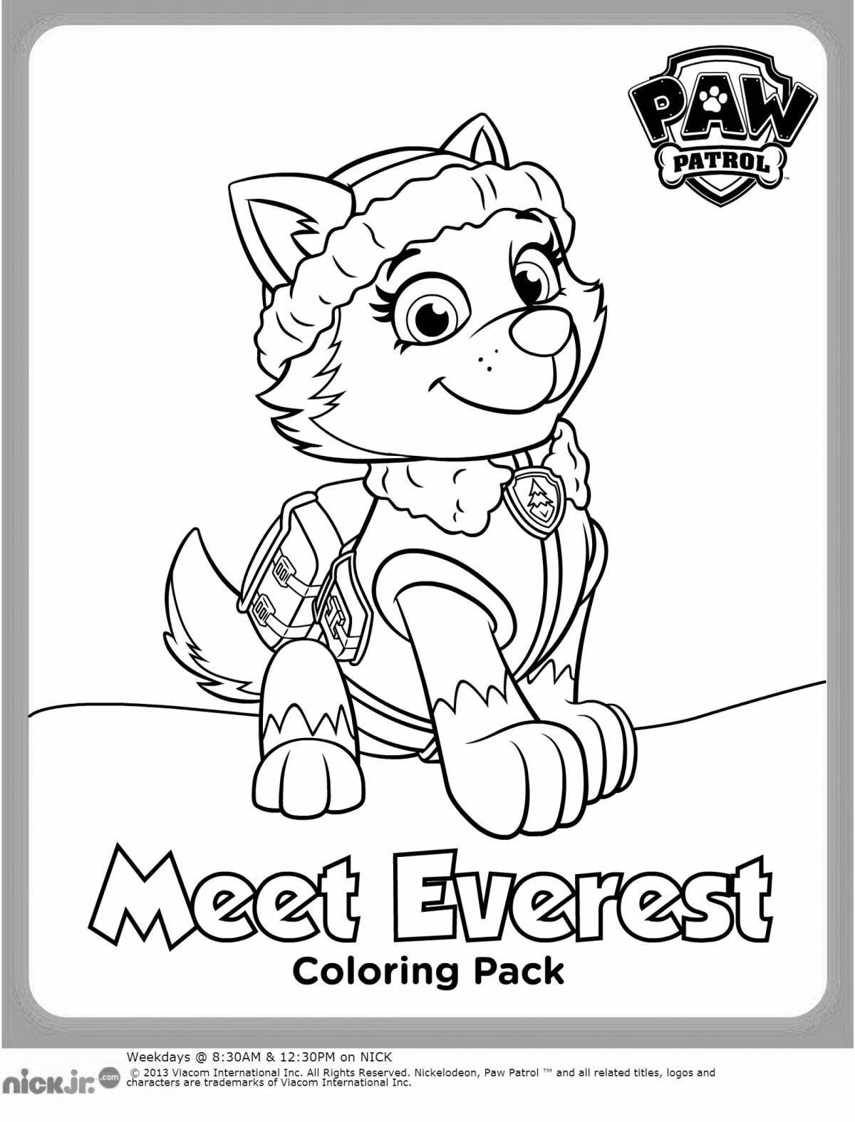 Paw patrol sky and everest glitter coloring