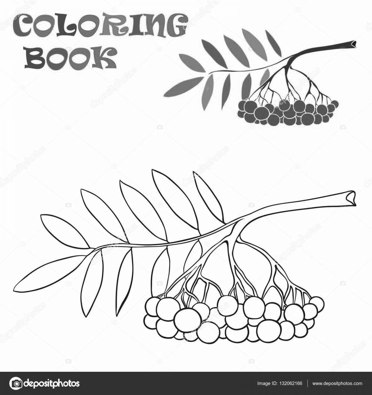 Amazing rowan branch coloring book for kids