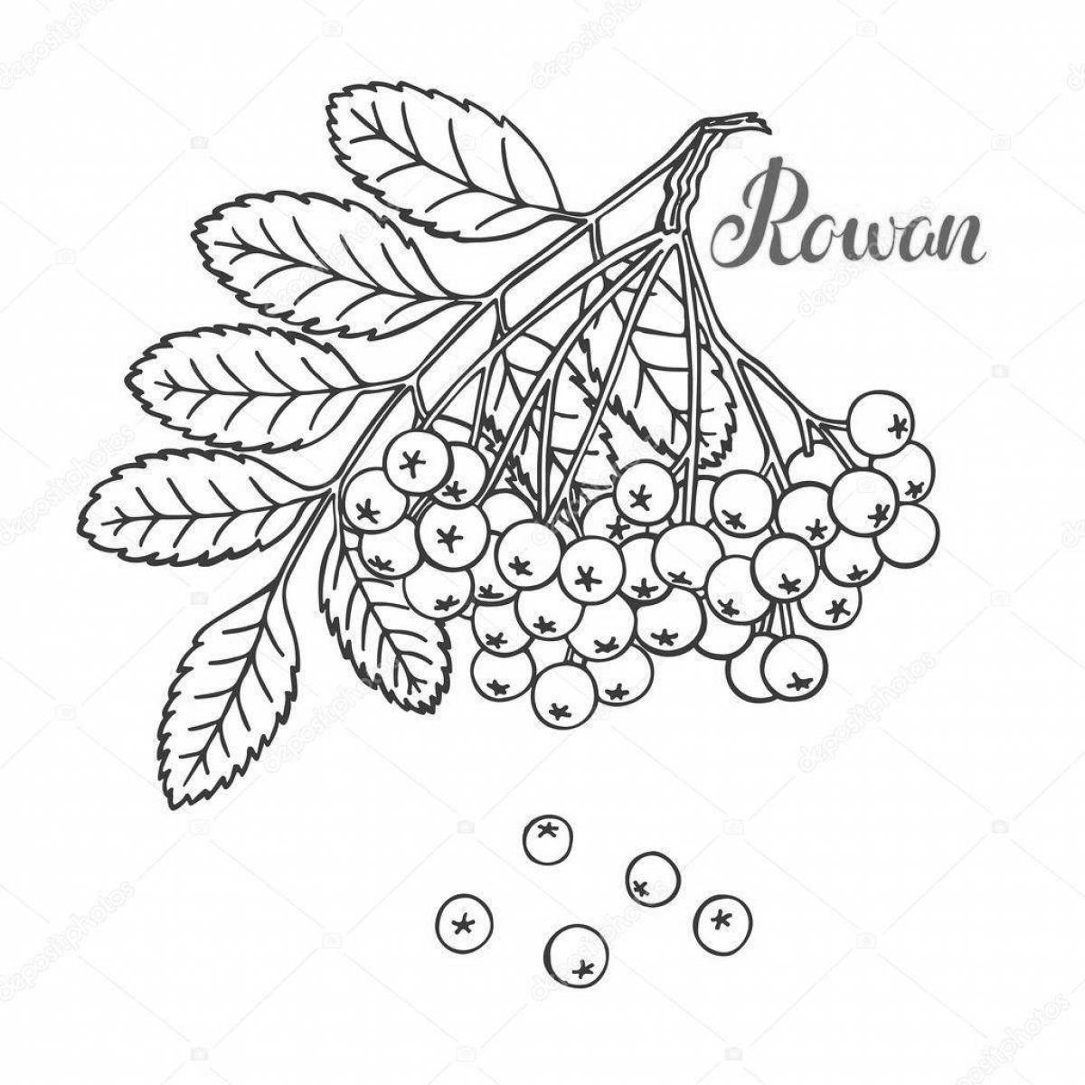 Gorgeous rowan branch coloring book for kids