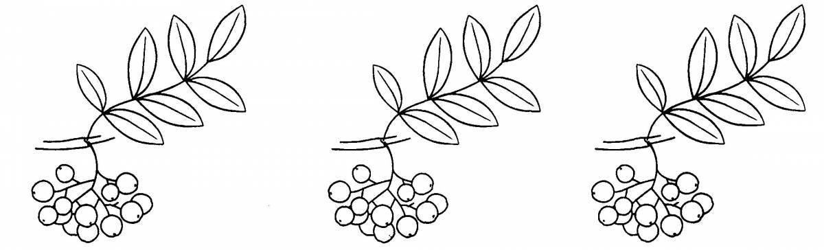 Incredible rowan tree coloring book for kids