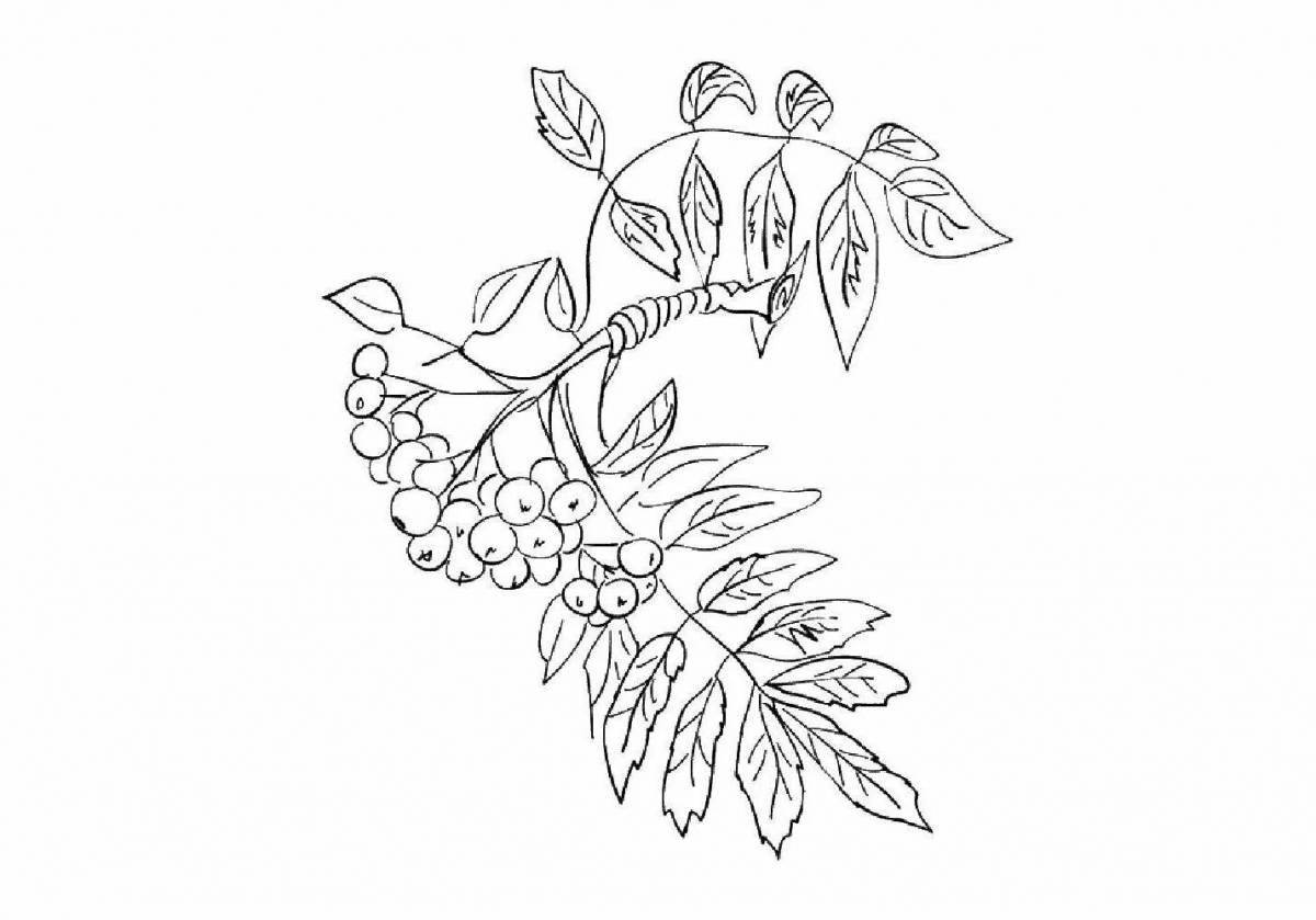 Glorious rowan branch coloring book for children