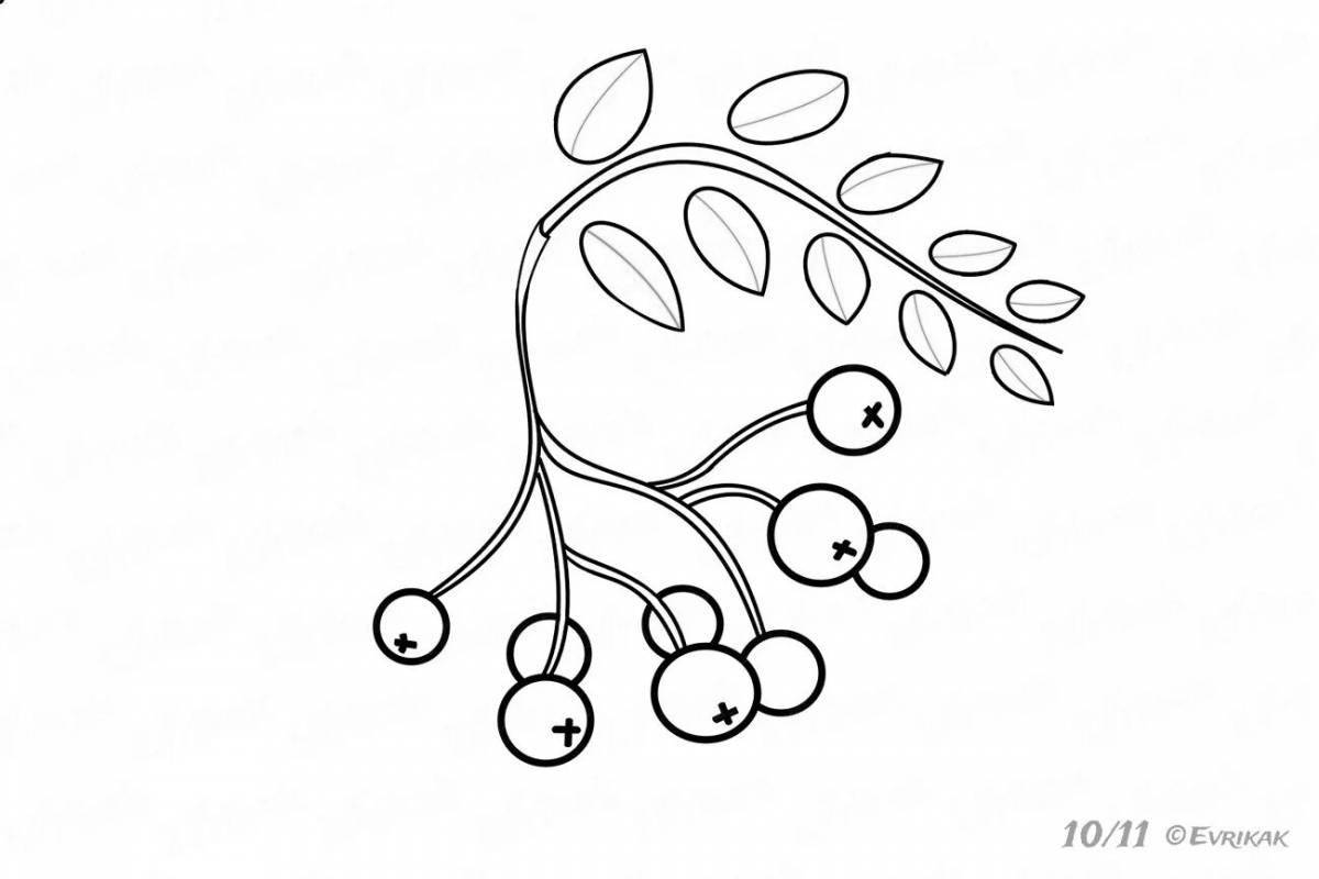 Elegant rowan branch coloring book for children