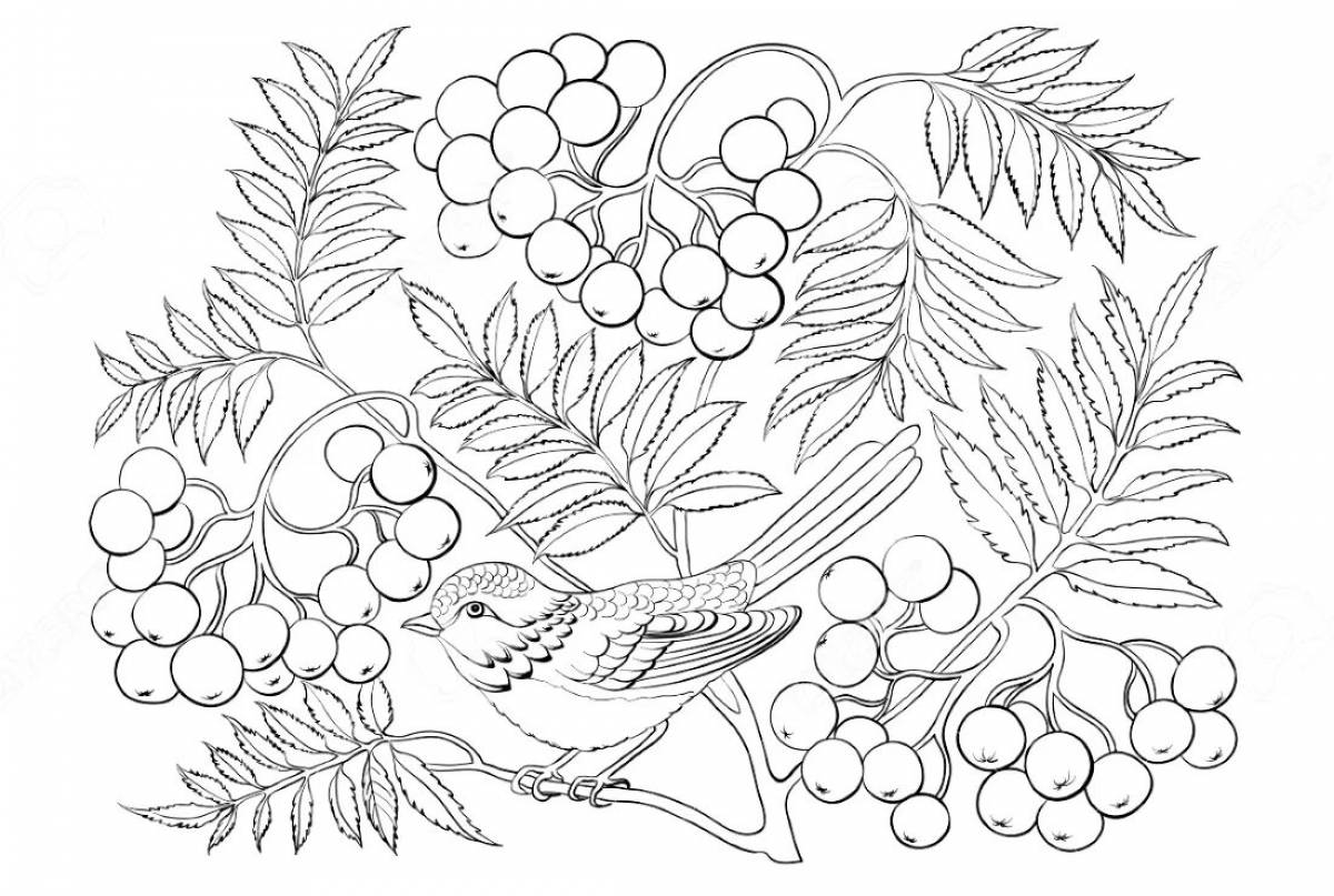 Merry rowan branch coloring for children