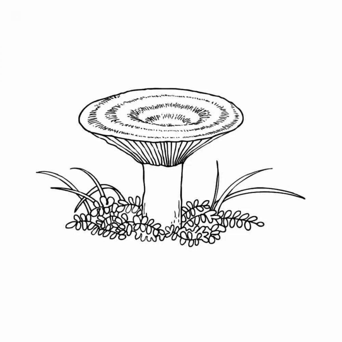 Colorful russula coloring page