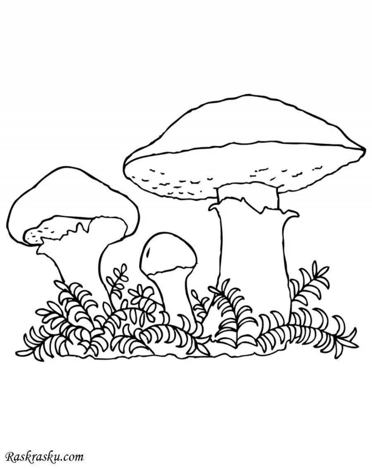 Coloring page joyful russula
