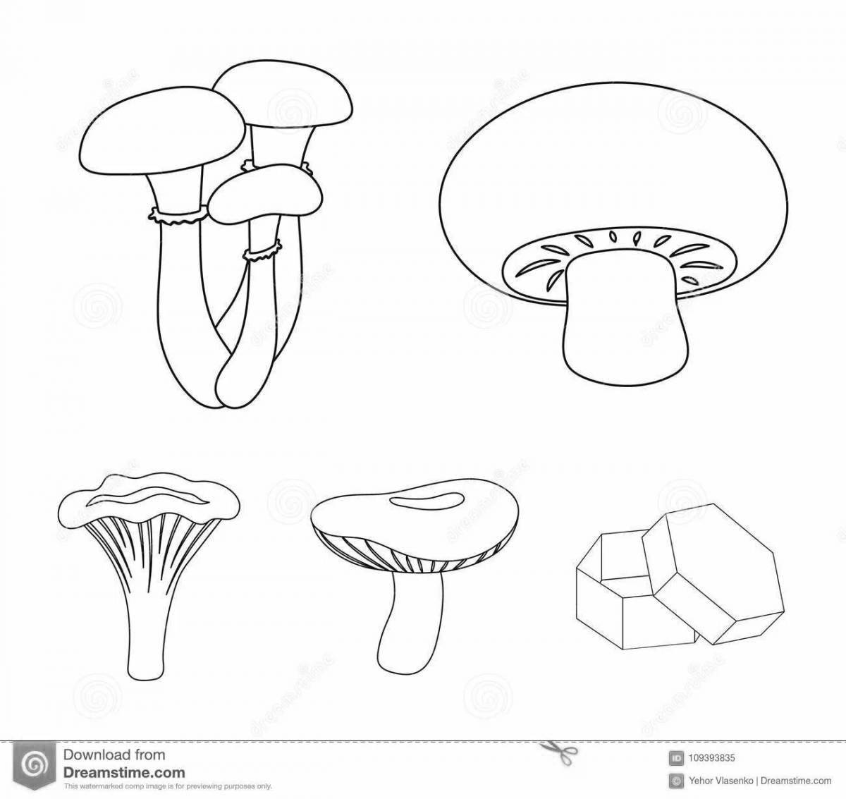 Coloring page sparkling russula