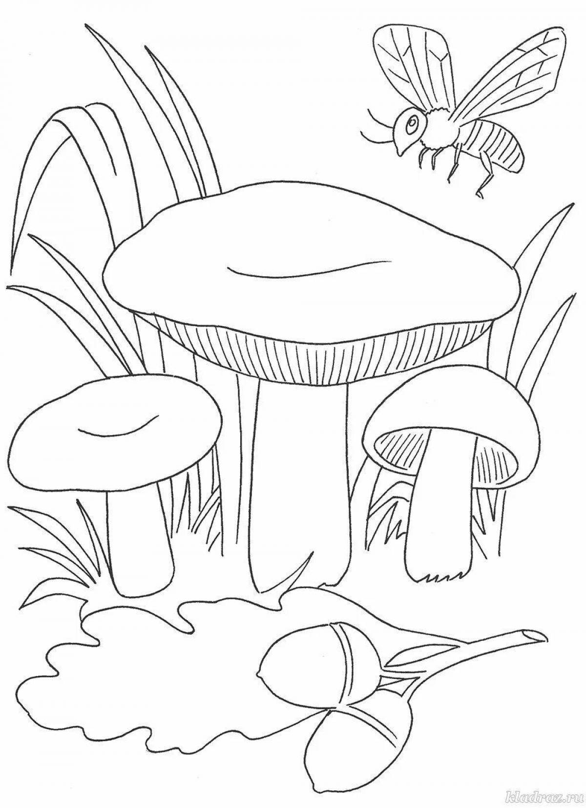 Coloring animated russula