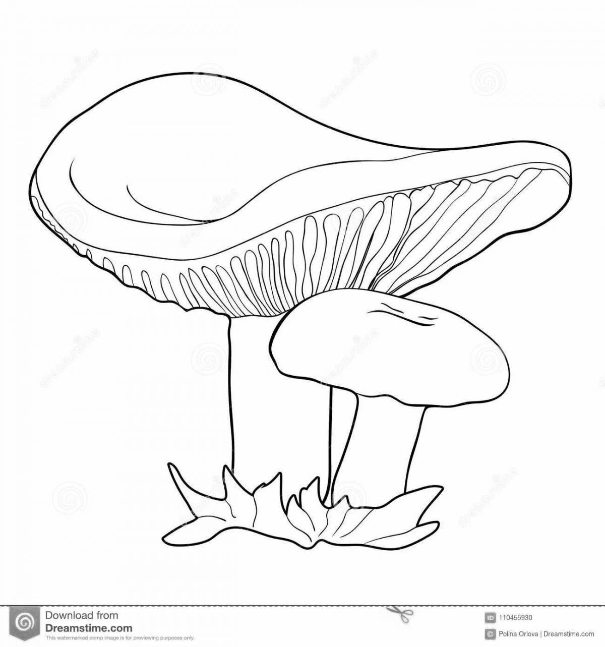 Coloring page wild russula