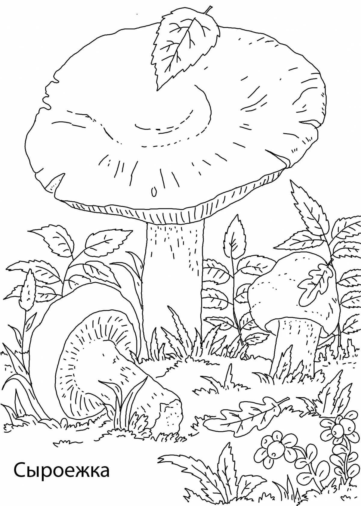 Humorous russula coloring book