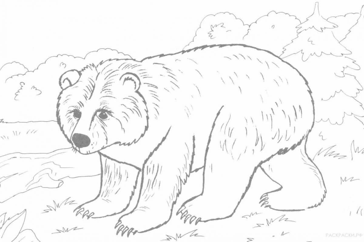 Игривый медвежонок-раскраска