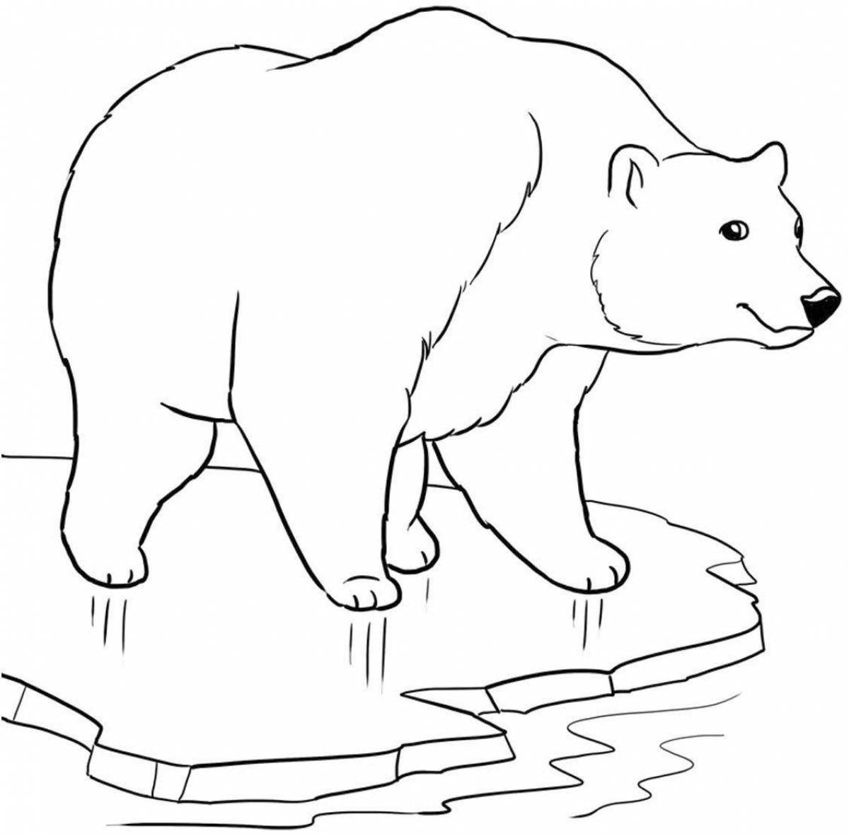 Ласковая раскраска медведь