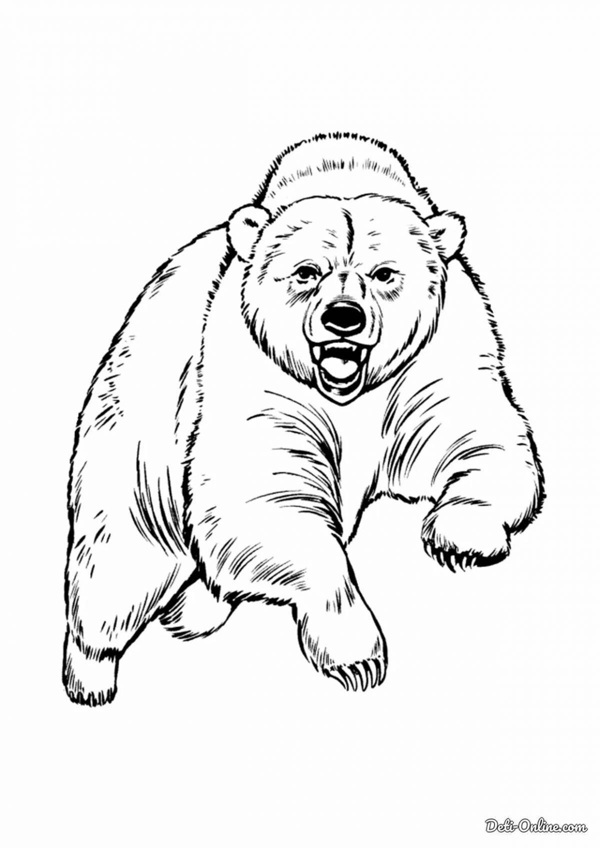 Веселая раскраска медведь
