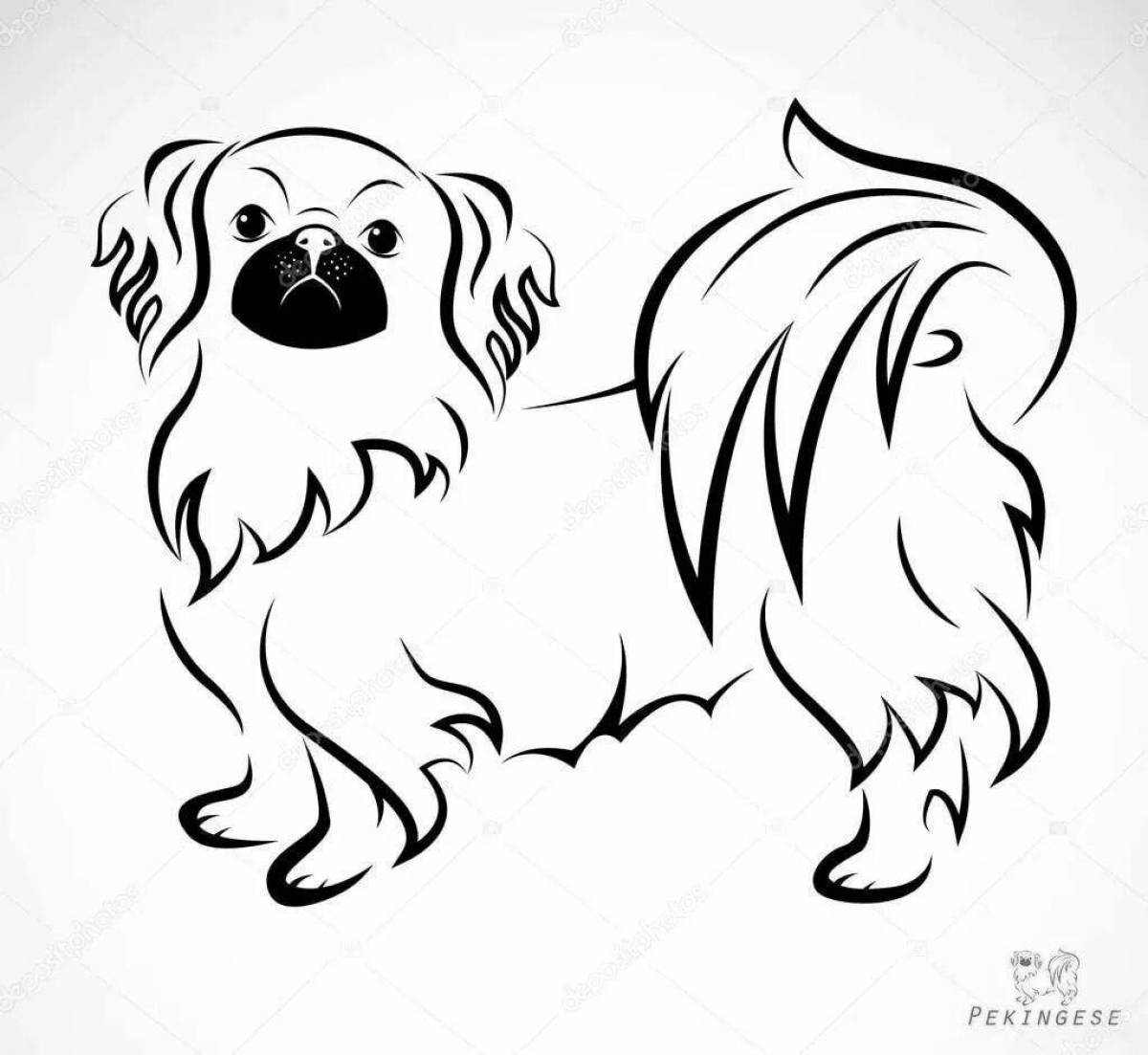 Мультфильм иллюстрации Счастливый пушистая собака или пекинес для Книжка-раскраска