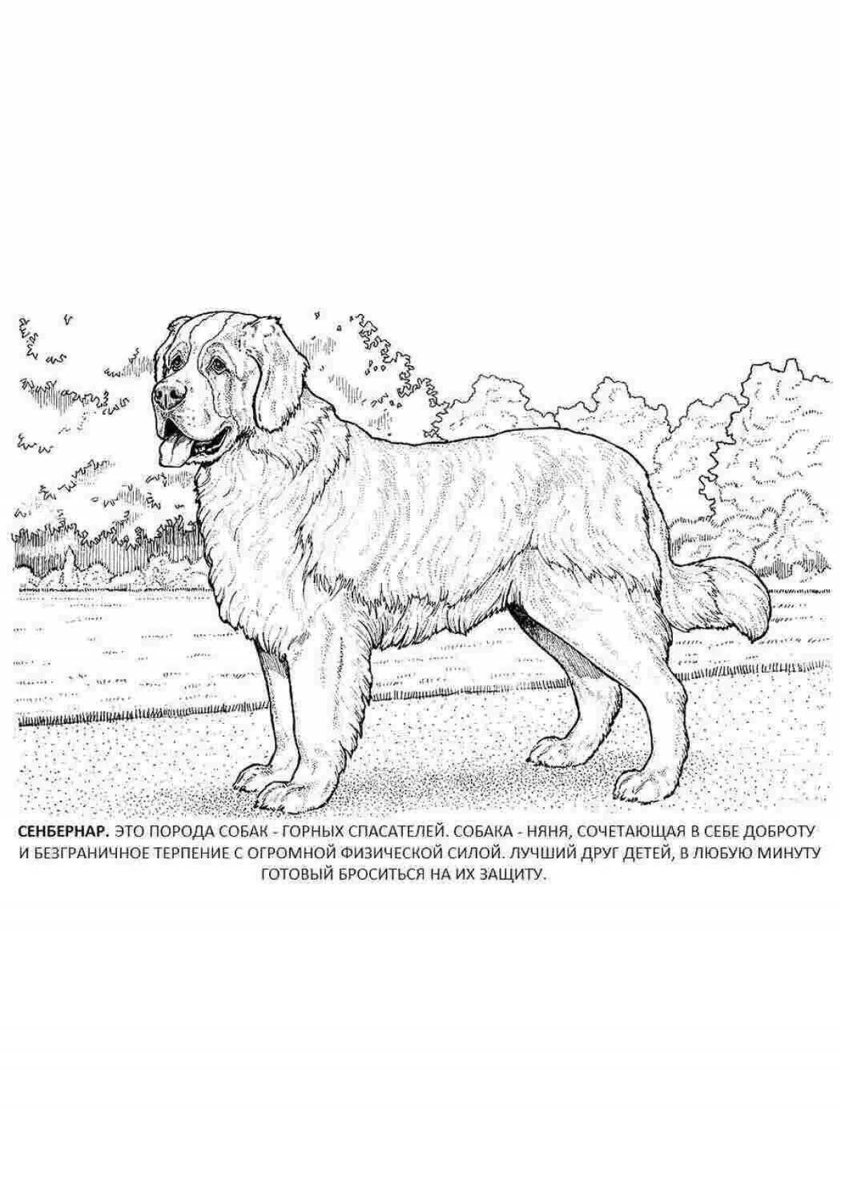 Photo Coloring page loving Bernard