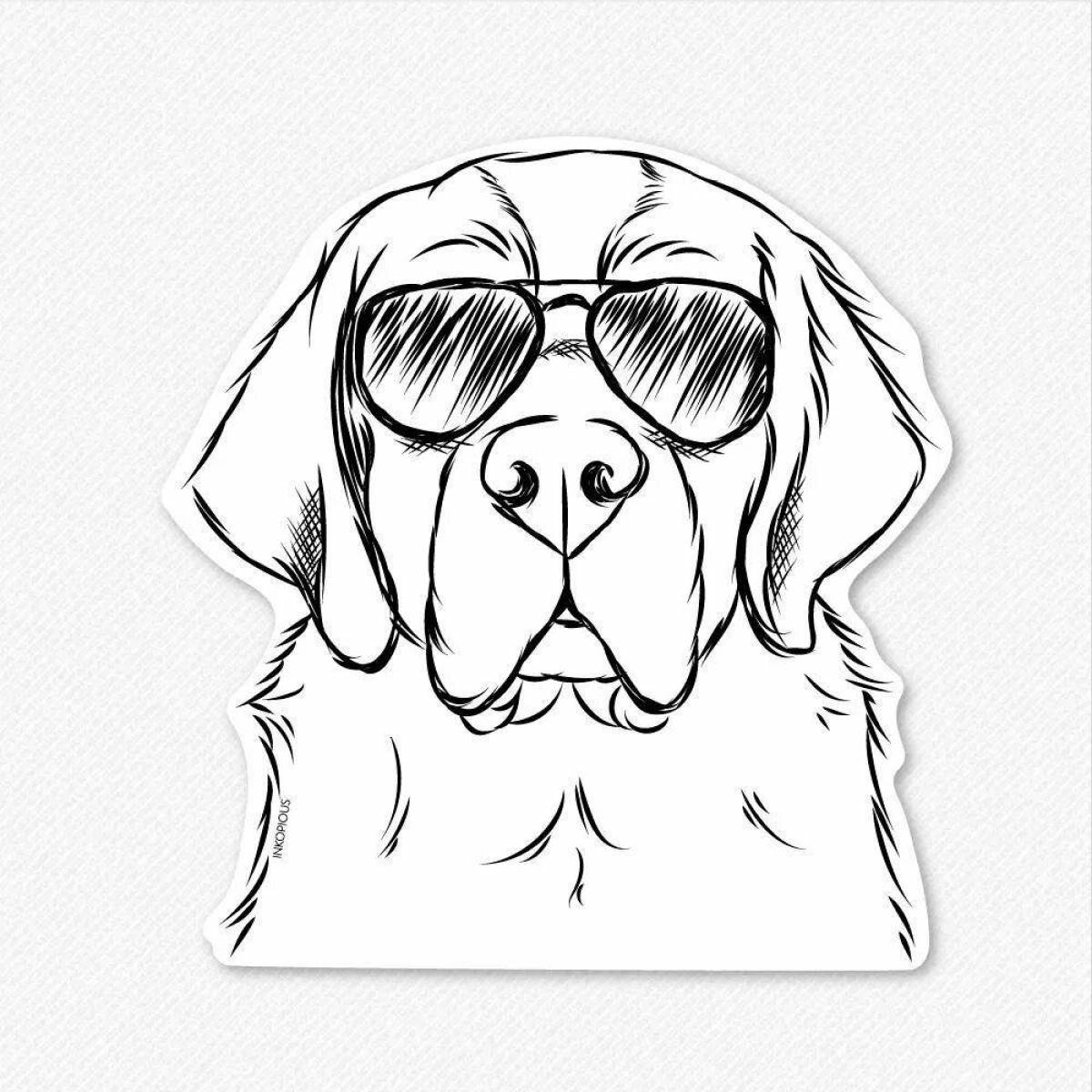 Photo Tiny st bernard coloring page