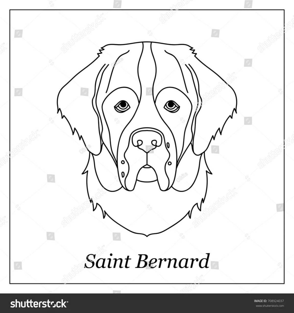 Photo Coloring page charming Bernard
