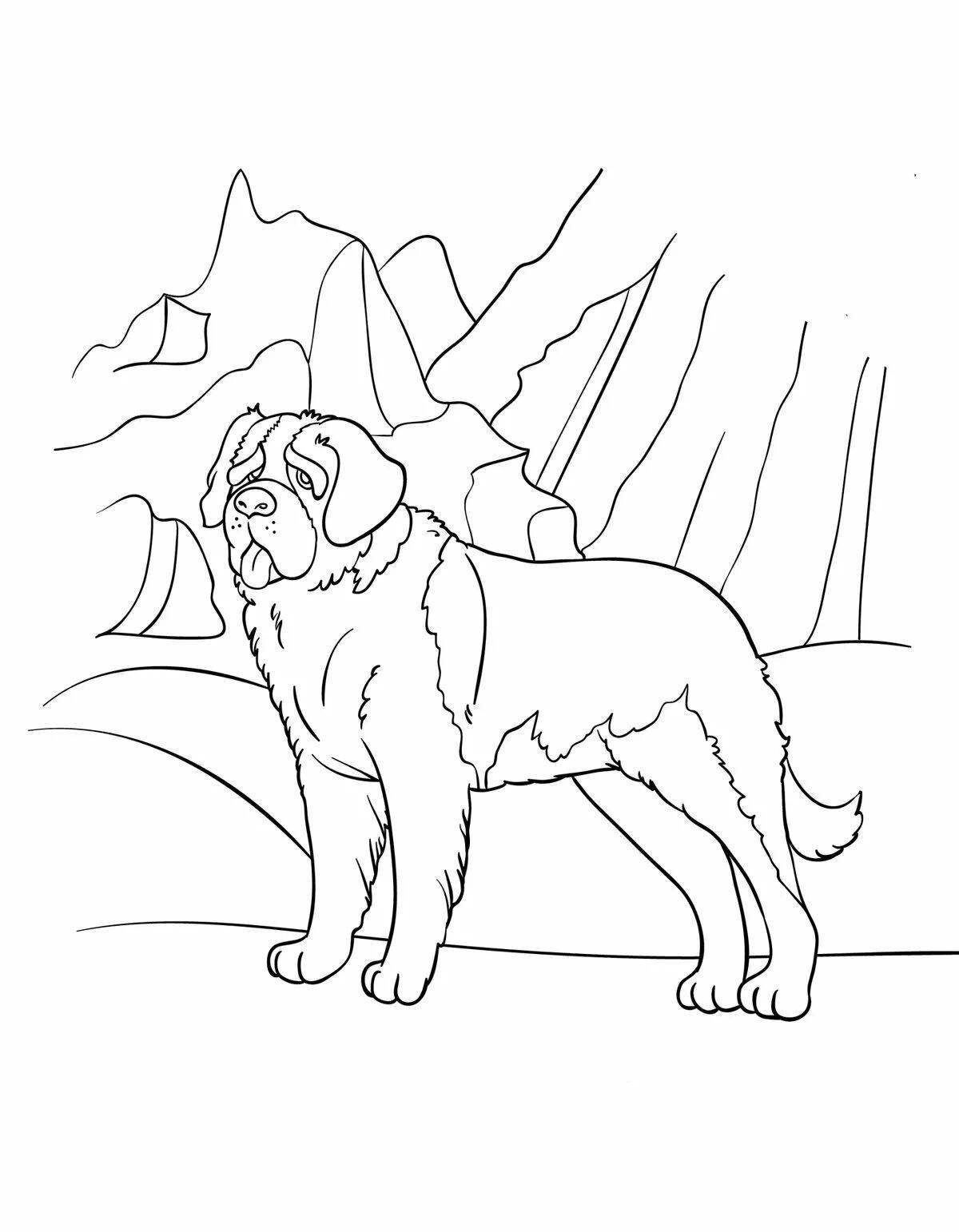 Photo Coloring animated Bernard