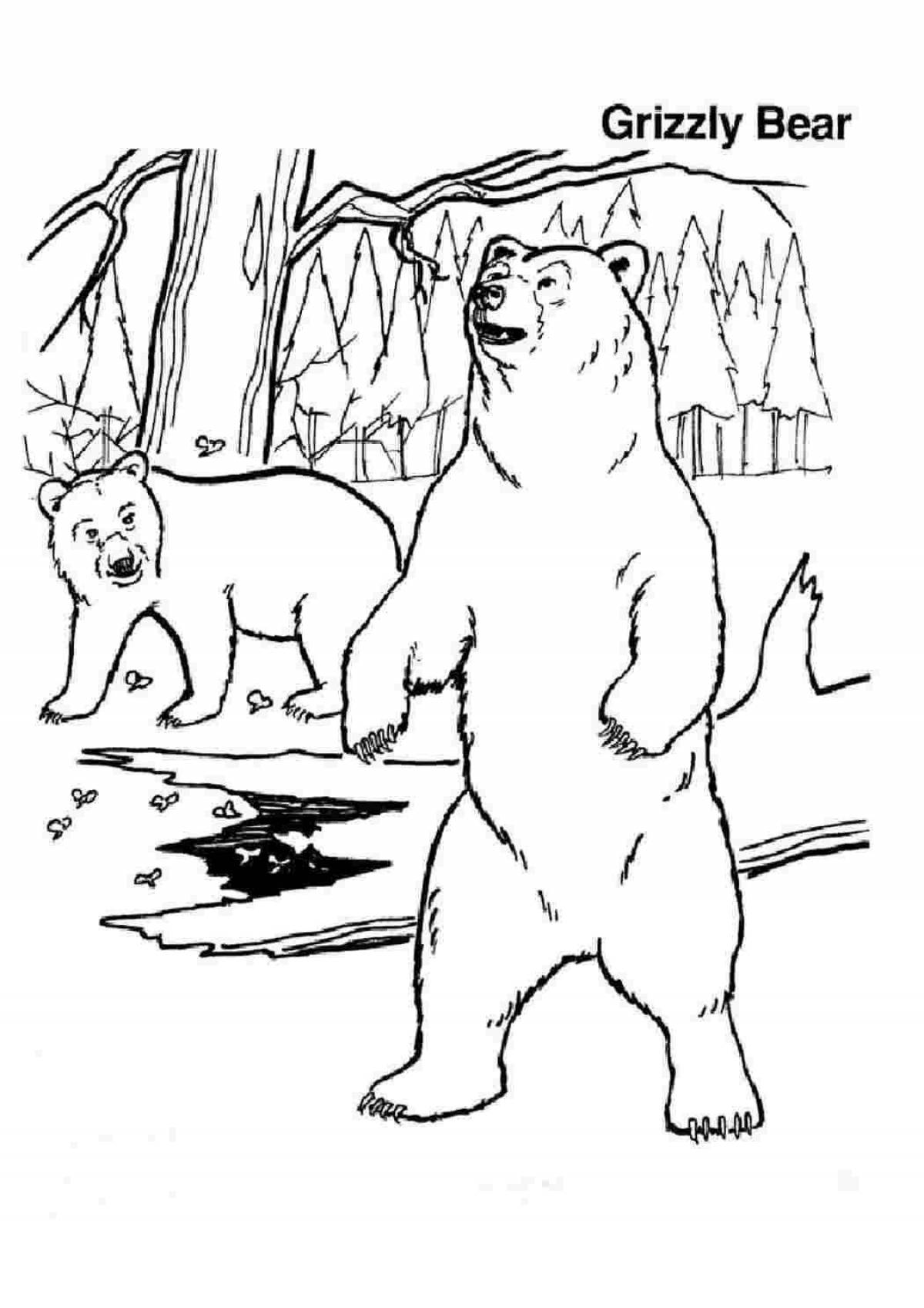Majestic grizzly coloring page