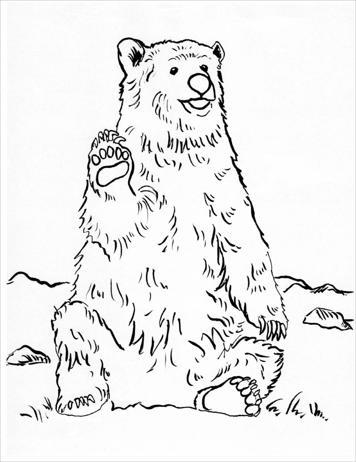 Great grizzly coloring book