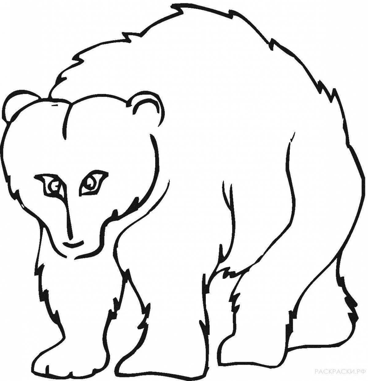 Dazzling grizzly coloring page