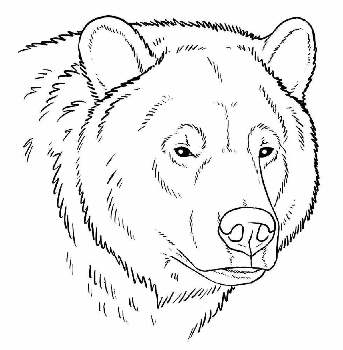 Charming grizzly coloring book