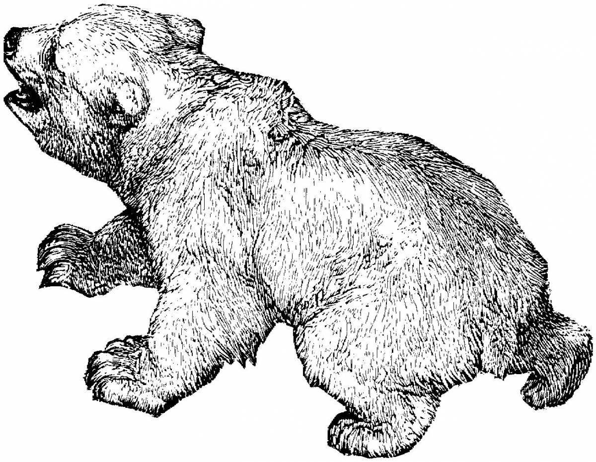 Amazing grizzly coloring page