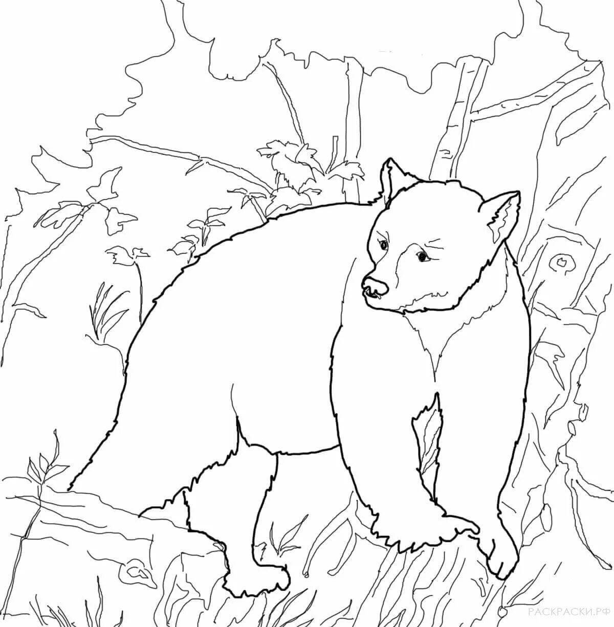 Grand Grizzly Coloring Page