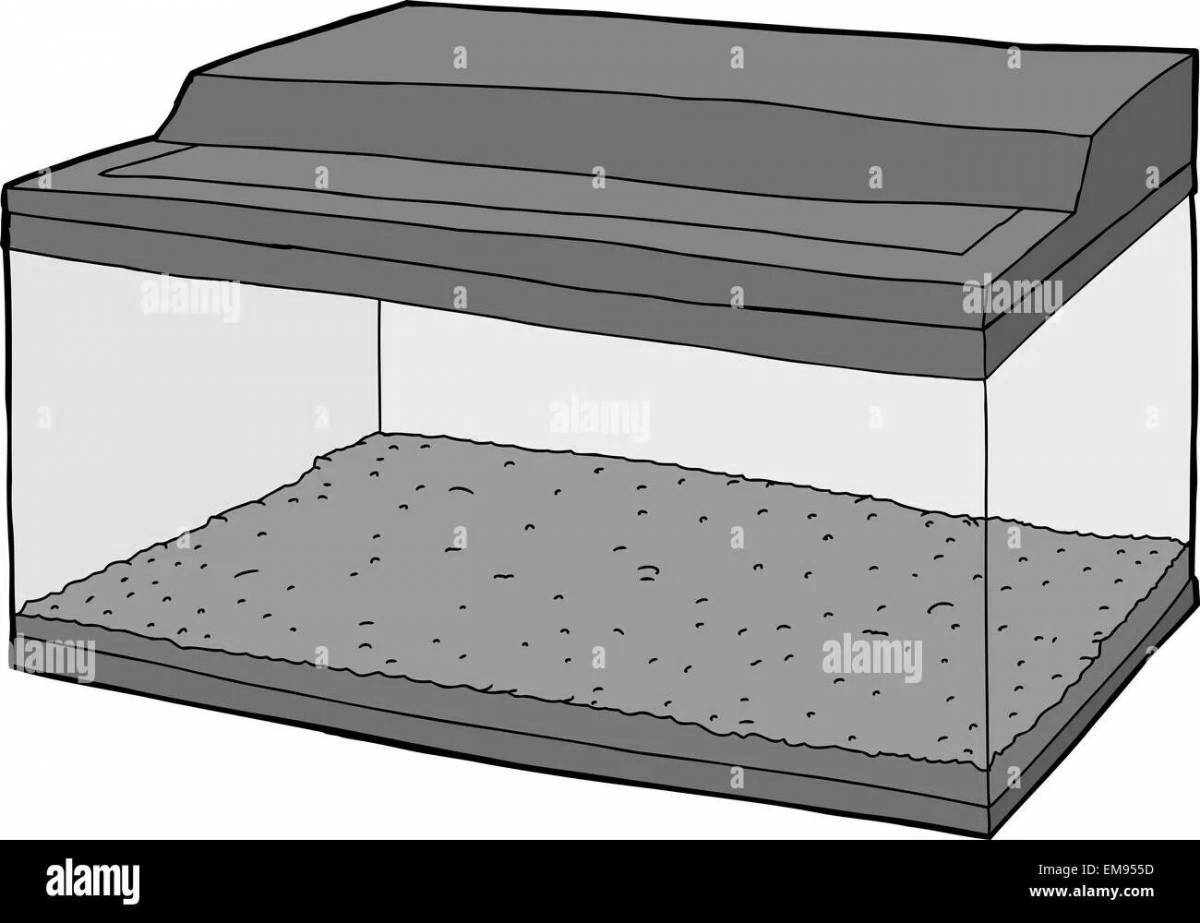 Photo Colorful terrarium coloring book