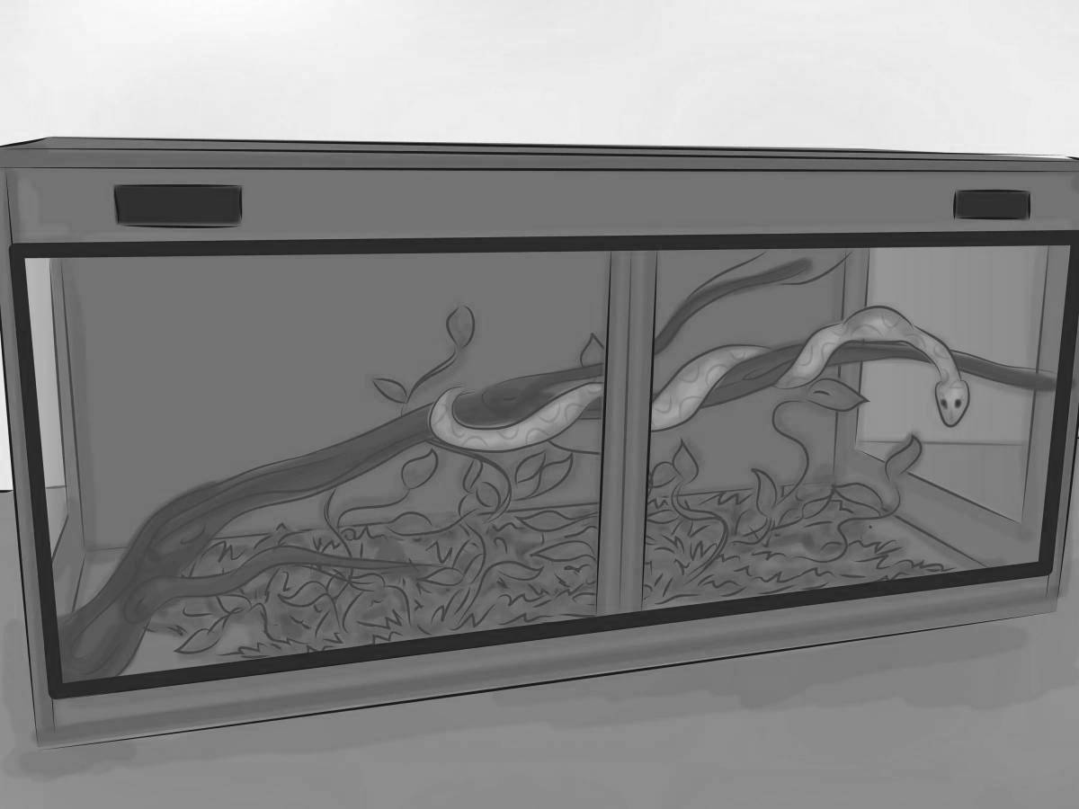 Photo Exquisite terrarium coloring book