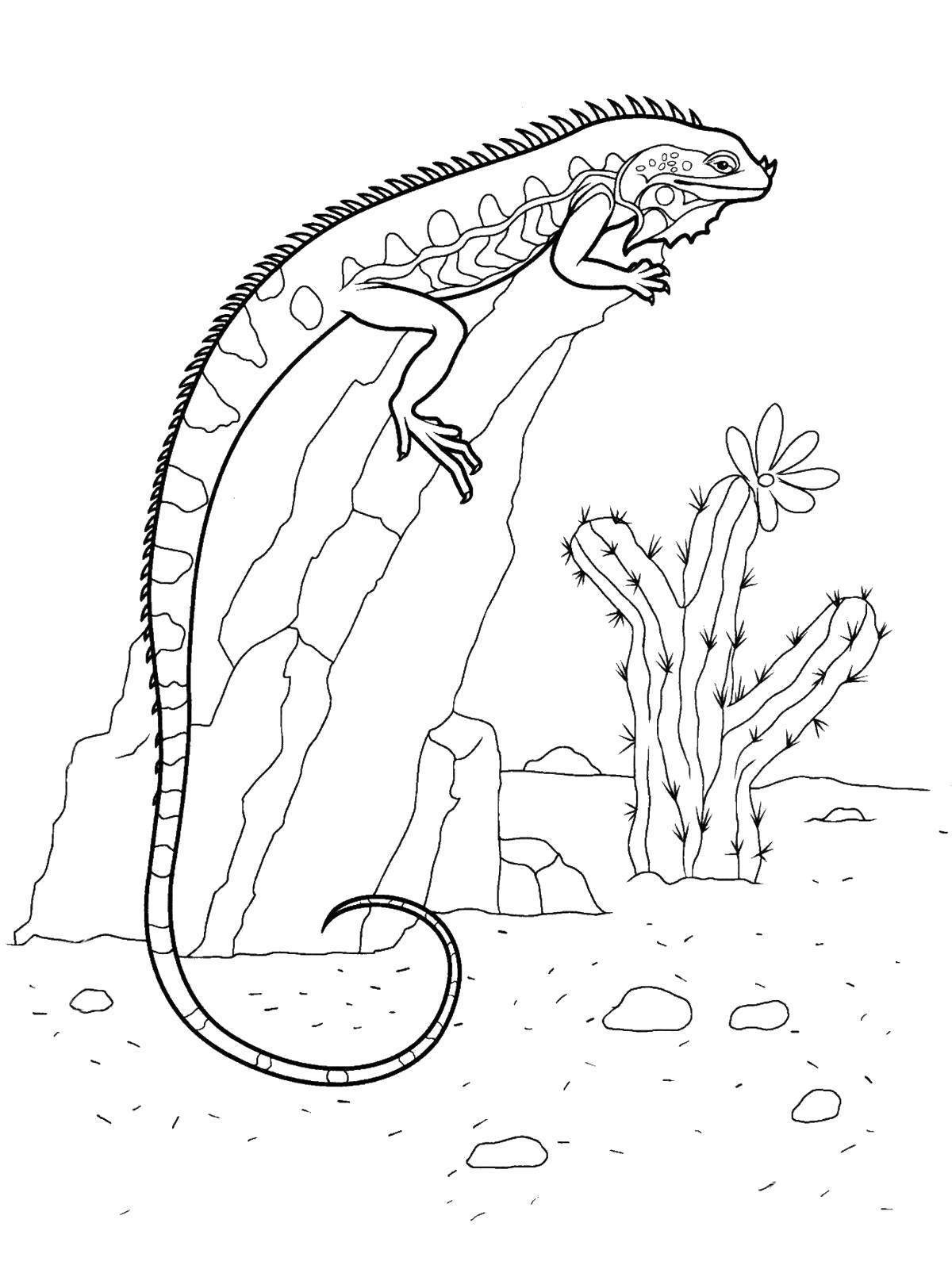 Photo Playful terrarium coloring page