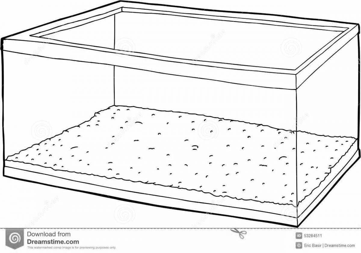 Photo Great terrarium coloring book