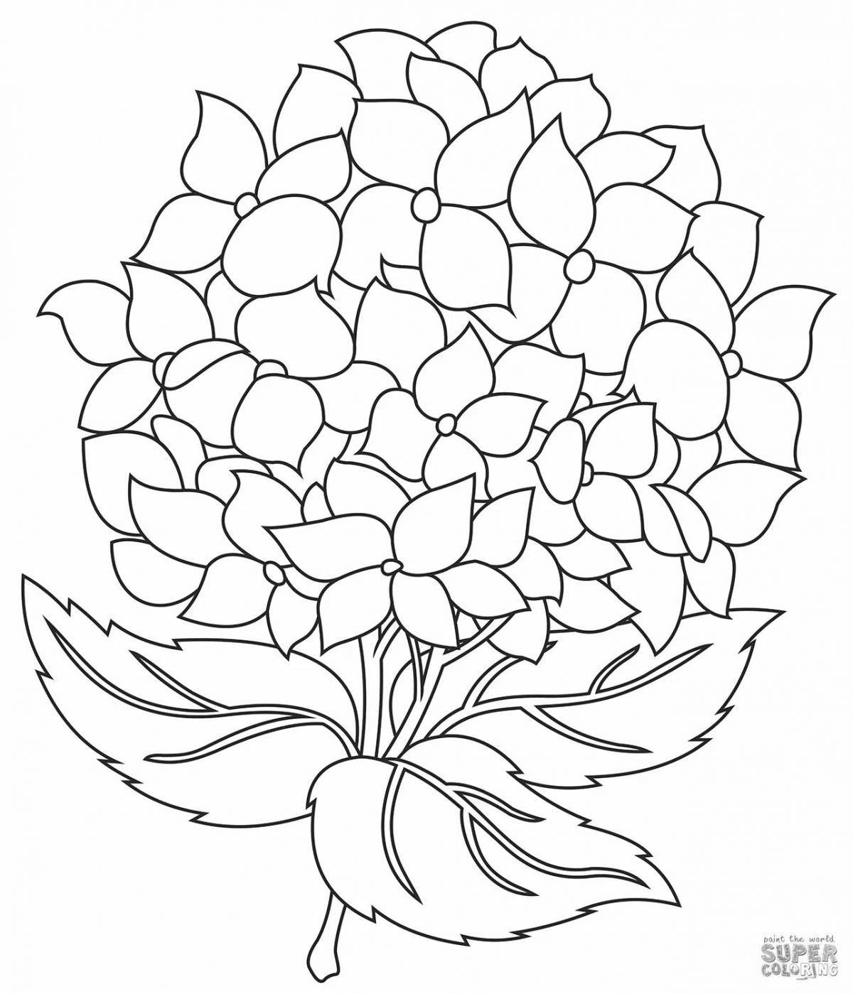 Art coloring hydrangea
