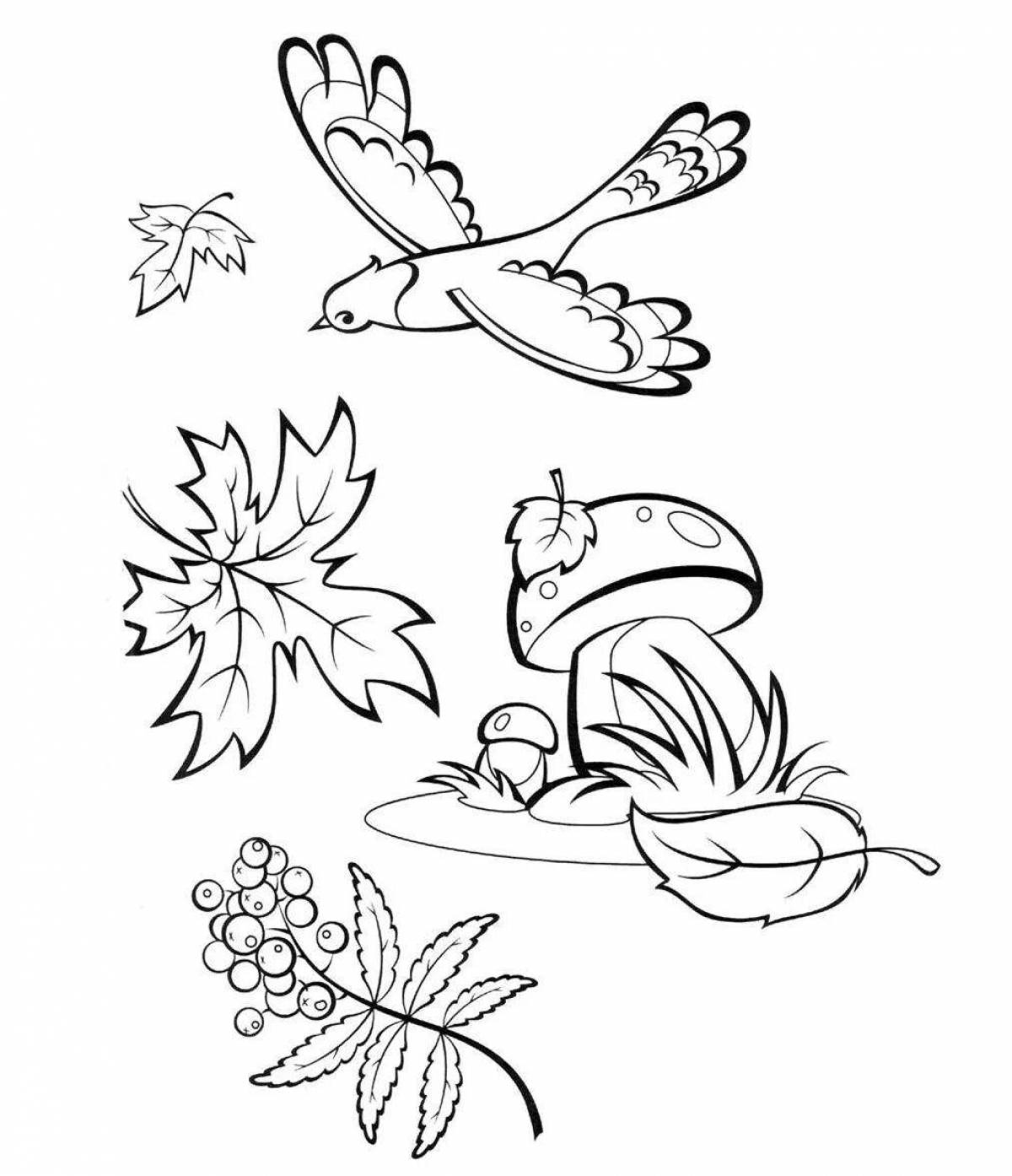 Serene autumn coloring