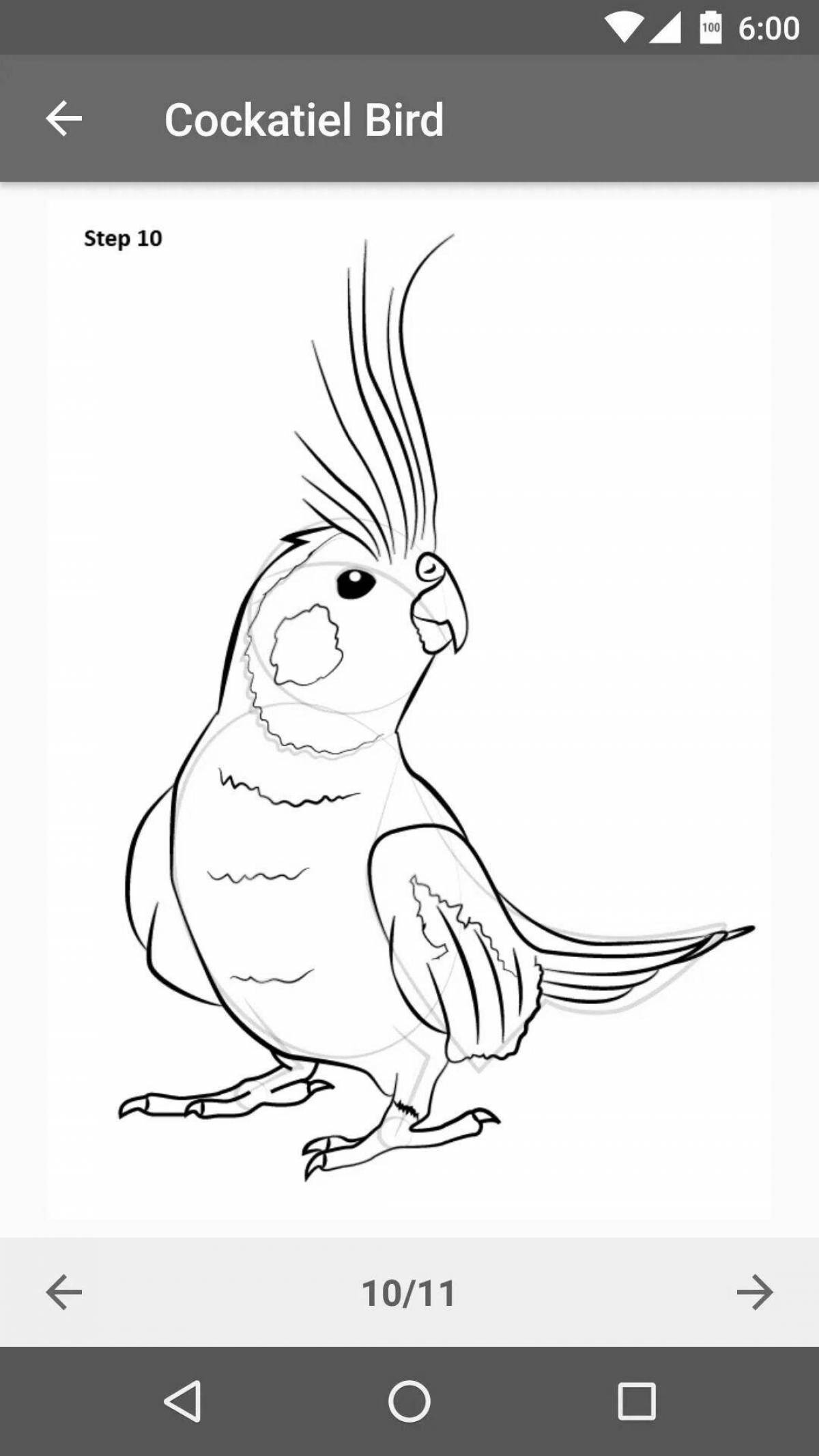 Exotic parrot coloring page